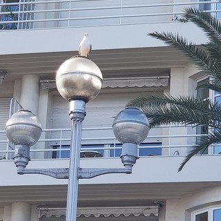 "TLa vedetta" di Patrizia Savarese