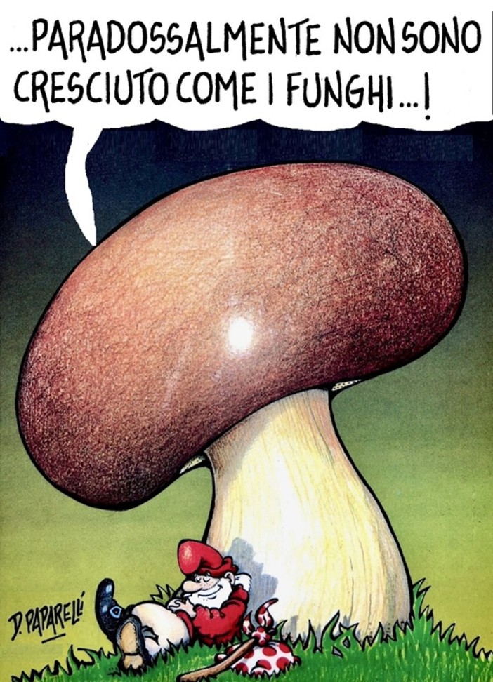 Quando una vignetta vale come mille editoriali Quando una vignetta vale come mille editoriali