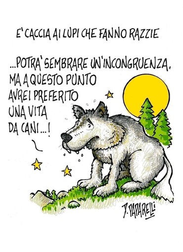 Quando una vignetta vale come mille editoriali Quando una vignetta vale come mille editoriali