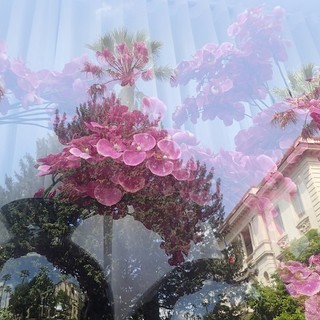 "La fotografia ha un cuore" di Jean Pascal Galeotti