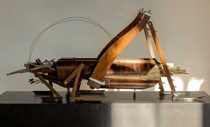 “La symphonie des insectes géants", una mostra all’Espace Culturel Lympia di Nizza “La symphonie des insectes géants", una mostra all’Espace Culturel Lympia di Nizza