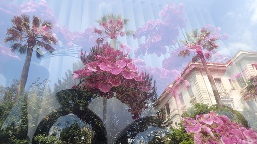 "La fotografia ha un cuore" di Jean Pascal Galeotti "La fotografia ha un cuore" di Jean Pascal Galeotti