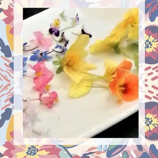 “Mangiare i Fiori” una cena di Gala esclusiva mercoledì 11 maggio a Sanremo: Prenotazioni aperte