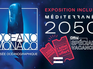 “Méditerranée 2050”