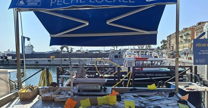Piccolo mercato del pesce al porto di Nizza. Fotografie di Danilo Radaelli