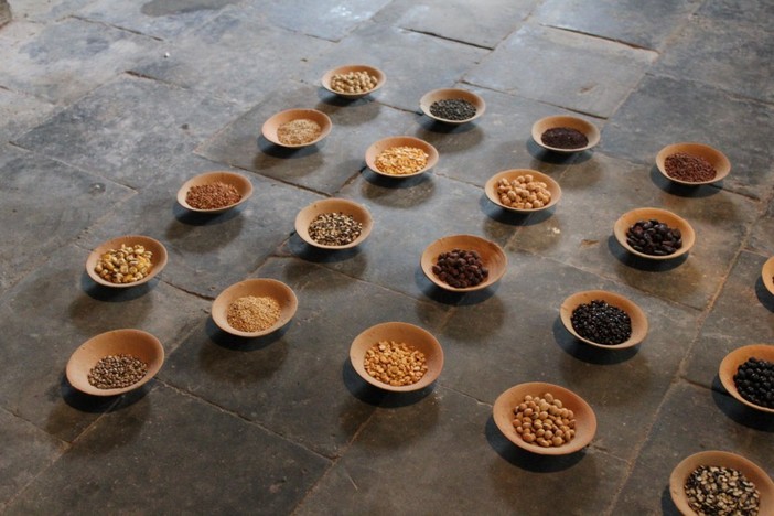 39 petits bols en argile avec du blé, des haricots, des graines de chanvre (du basar de Katmandou), de la terre et de l’eau dimensions variables. Galerie Geiger, Lake Constance collection herman and susanne de vries © crédit Lilian Seegers © Adagp, Paris 2024 39 petits bols en argile avec du blé, des haricots, des graines de chanvre (du basar de Katmandou), de la terre et de l’eau dimensions variables. Galerie Geiger, Lake Constance collection herman and susanne de vries © crédit Lilian Seegers © Adagp, Paris 2024