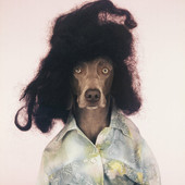 MIA Photo Fair Milano 2026