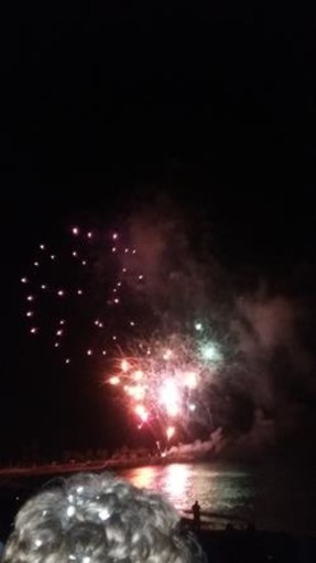 Carnevale in Costa Azzurra, Mentone raccontato da Milena Visentini