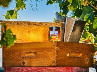 Il Miel Château de Crémat – Côte d’Azur. Il Miel Château de Crémat – Côte d’Azur.