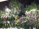 Carnevale in Costa Azzurra, Mentone raccontato da Milena Visentini - Il festival delle Orchidee