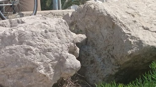 "Viso di roccia", fotografia di Milena Visentini