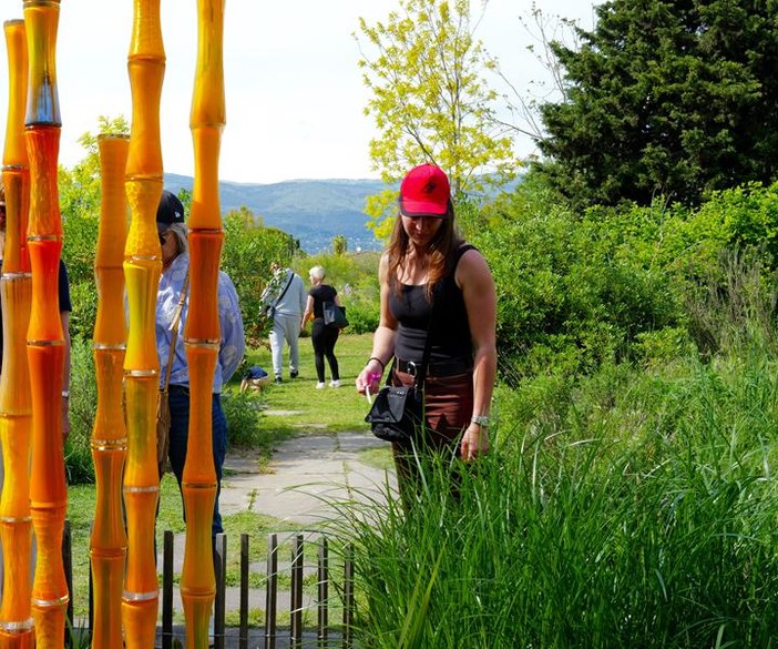 Mouans Sartoux, giardini del Museo Internazionale della Profumeria. Fotografia di Silvia Assin