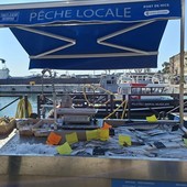 Piccolo mercato del pesce al porto di Nizza. Fotografie di Danilo Radaelli Piccolo mercato del pesce al porto di Nizza. Fotografie di Danilo Radaelli
