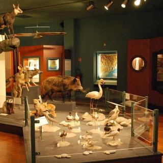 Nizza, libretti divulgativi, accessibili a tutti, raccontano i musei scientifici