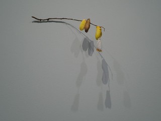 Giorgio Andreotta Calo’ , “ Icarus”, 2023 - Rami di bronzo e bozzoli naturali