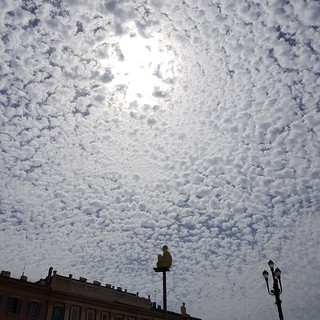 "Cielo di ovatta" di Marie-Rose Damiano