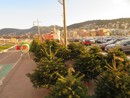 Nizza il marché aux sapins al porto