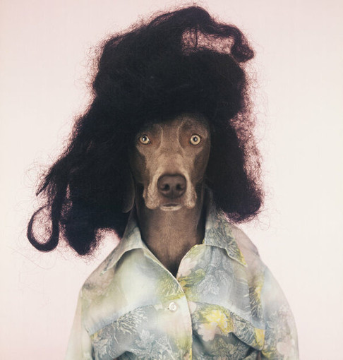 MIA Photo Fair Milano 2026