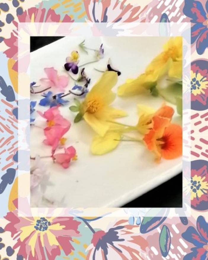 “Mangiare i Fiori” una cena di Gala esclusiva mercoledì 11 maggio a Sanremo: Prenotazioni aperte “Mangiare i Fiori” una cena di Gala esclusiva mercoledì 11 maggio a Sanremo: Prenotazioni aperte