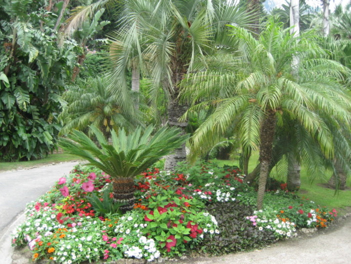 Mentone: giardino Maria Serena. Una serra a cielo aperto Mentone: giardino Maria Serena. Una serra a cielo aperto