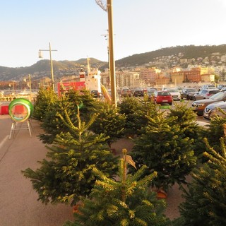 Nizza il marché aux sapins al porto Nizza il marché aux sapins al porto