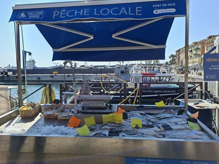 Piccolo mercato del pesce al porto di Nizza. Fotografie di Danilo Radaelli