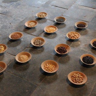 39 petits bols en argile avec du blé, des haricots, des graines de chanvre (du basar de Katmandou), de la terre et de l’eau dimensions variables.  Galerie Geiger, Lake Constance collection herman and susanne de vries © crédit Lilian Seegers © Adagp, Paris 2024