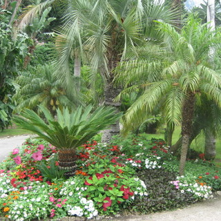 Mentone: giardino Maria Serena. Una serra a cielo aperto
