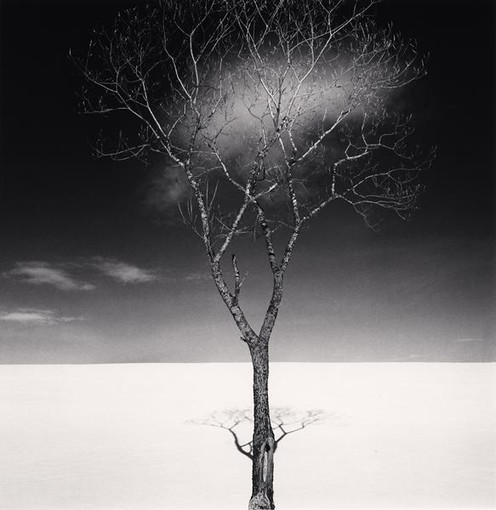 Onishi Tree Shadow, Study 2, Hokkaido, Japan, 2023 © Donation Michael Kenna, Ministère de la Culture, Médiathèque du patrimoine et de la photographie