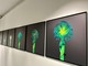 “Fractal Flowers - Transparences imaginaires / Hommage à Francis Picabia” a Mougins
