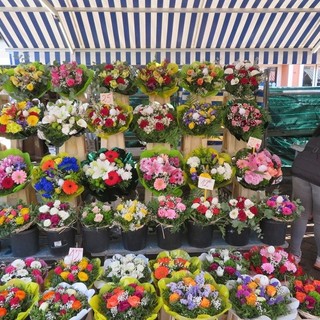 E' il momento del mughetto: il bianco che vale oro!