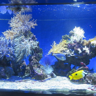 Nasce un gruppo delle Nazioni Unite per combattere l'inquinamento marino della plastica