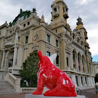 "Sculture" fotografie di Luisella Cappio
