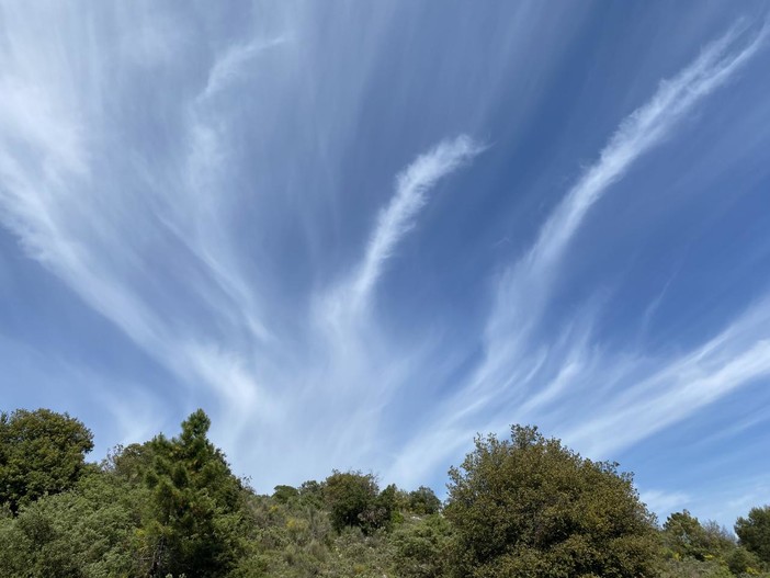 "Dei dell'Olimpo" di Nicole Geron "Dei dell'Olimpo" di Nicole Geron