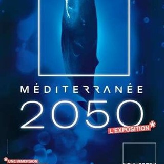 Programma di attività al Musée océanographique de Monaco!