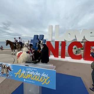 Cani, gatti, cavalli, pesci rossi, canarini, capre… una sfilata di animali sulla Promenade a Nizza