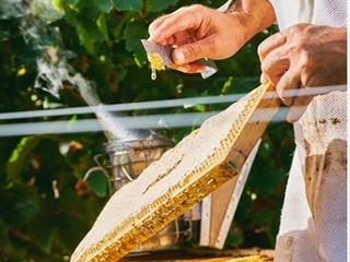 Il Miel Château de Crémat – Côte d’Azur. Il Miel Château de Crémat – Côte d’Azur.