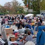 Vide Grenier a Mandelieu la Napoule