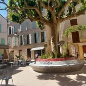 Manosque (1 - 22), Gréoux-les-Bains (23 - 29) e Vinon sur Verdon con i campi di lavanda (30 - 47). Le fotografie sono di Danilo Radaelli Manosque (1 - 22), Gréoux-les-Bains (23 - 29) e Vinon sur Verdon con i campi di lavanda (30 - 47). Le fotografie sono di Danilo Radaelli