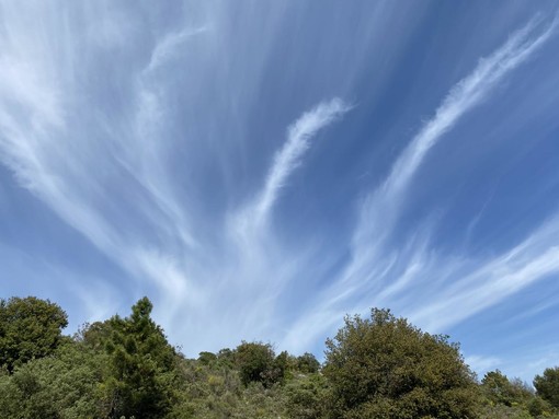 "Dei dell'Olimpo" di Nicole Geron "Dei dell'Olimpo" di Nicole Geron