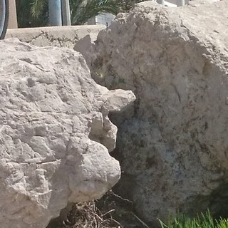 "Viso di roccia", fotografia di Milena Visentini