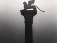 Winged Lion, San Marco, Venice, Italy, 2006 © Donation Michael Kenna, ministère de la Culture, MPP