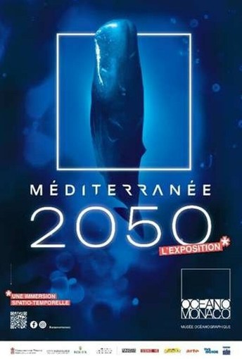 Programma di attività al Musée océanographique de Monaco!