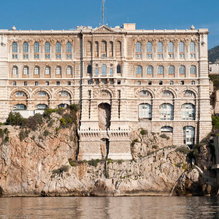 Ecco la Escape Room del Museo Oceanografico di Monaco: si gioca in 6 in tutta sicurezza