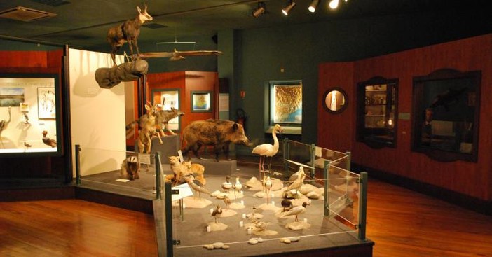 Nizza, libretti divulgativi, accessibili a tutti, raccontano i musei scientifici