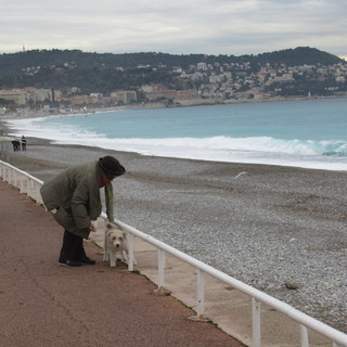 “Animal dans la ville” per una corretta convivenza tra animali, proprietari e cittadini a Nizza