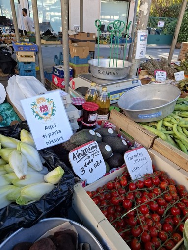 Nizzardo, la lingua che torna a brillare: corsi accelerati, podcast e social per rilanciarla