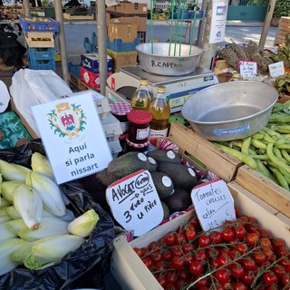 Nizzardo, la lingua che torna a brillare: corsi accelerati, podcast e social per rilanciarla