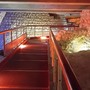 Nizza riscopre il passato: due giorni tra storia, scienza e curiosità per tutte le età