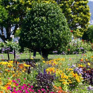 Nizza, città verde del Mediterraneo.